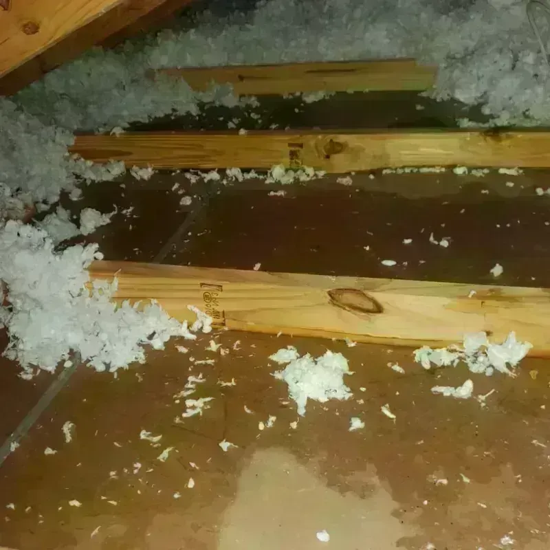 Attic Water Damage in Tierra Buena, CA