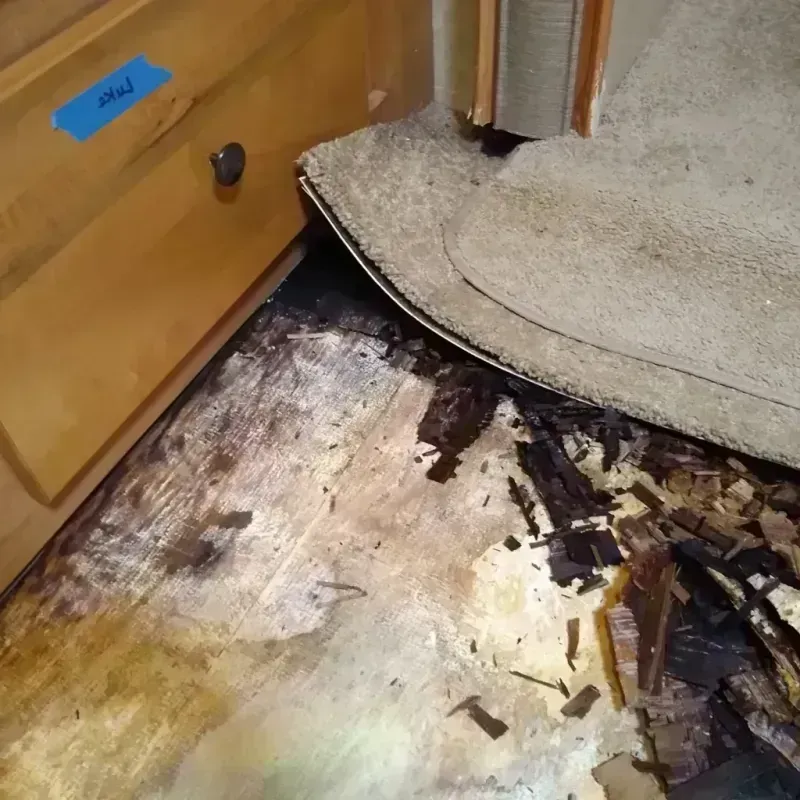 Wood Floor Water Damage in Tierra Buena, CA